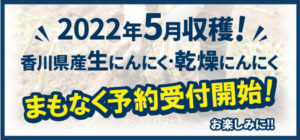 2022年5月収穫！香川県産生にんにく・乾燥にんにくまもなく予約受付開始！お楽しみに！！