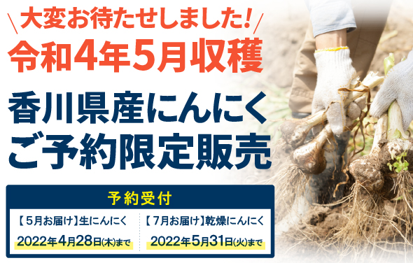 大変お待たせしました！令和4年5月収穫香川県産にんにくご予約限定販売