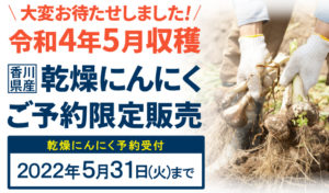 大変お待たせしました！令和4年5月収穫香川県産乾燥にんにくご予約限定販売