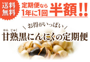 送料無料　定期便なら1年に1回半額!!お得がいっぱい　甘熟黒にんにくの定期便