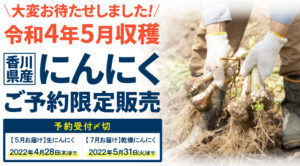 大変お待たせしました！令和4年5月収穫香川県産にんにくご予約限定販売