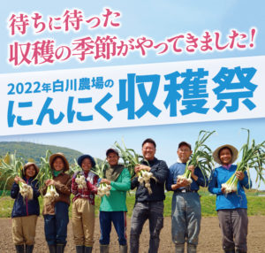 2022年白川農場のにんにく収穫祭