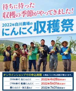 2022年白川農場のにんにく収穫祭