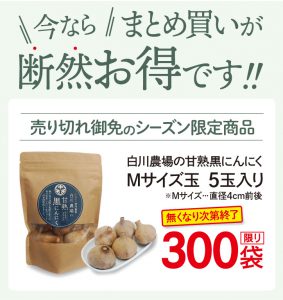 今ならまとめ買いが断然お得です！売り切れ御免のシーズン限定商品。白川農場の甘熟黒にんにくM玉5玉