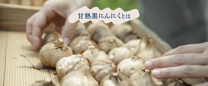 公式】香川県のにんにく専門農家「白川農場」オンラインショップ