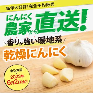 にんにく農家直送！香りが強い暖地系乾燥にんにく