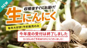 今年度の生にんにくの受付は終了しました。
