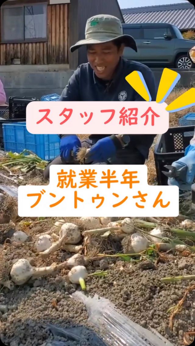 予約販売】令和7年5月収穫 香川県産乾燥にんにくお徳用1
